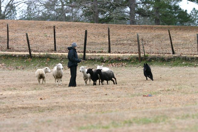 Click to see thumbs page