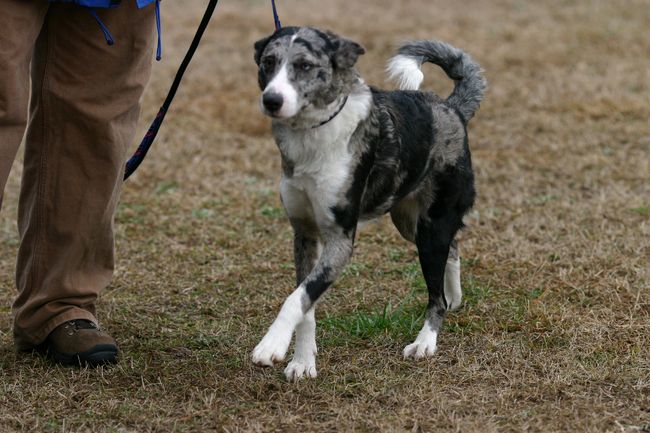 Click to see next picture