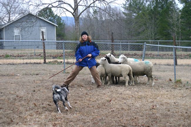 Click to see next picture