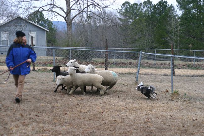 Click to see next picture