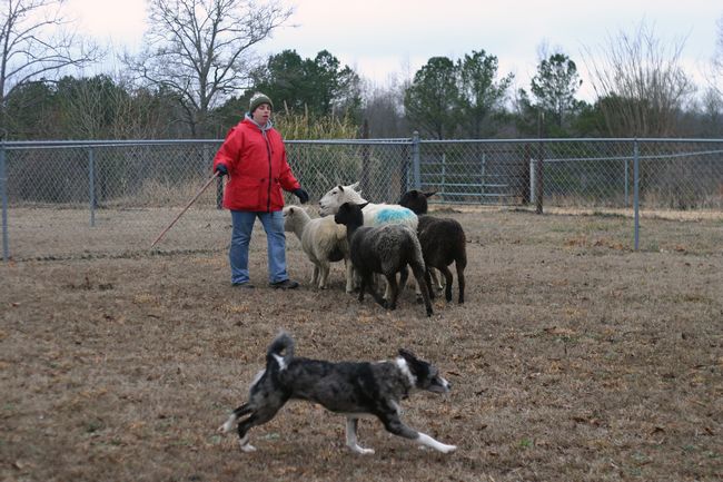 Click to see next picture