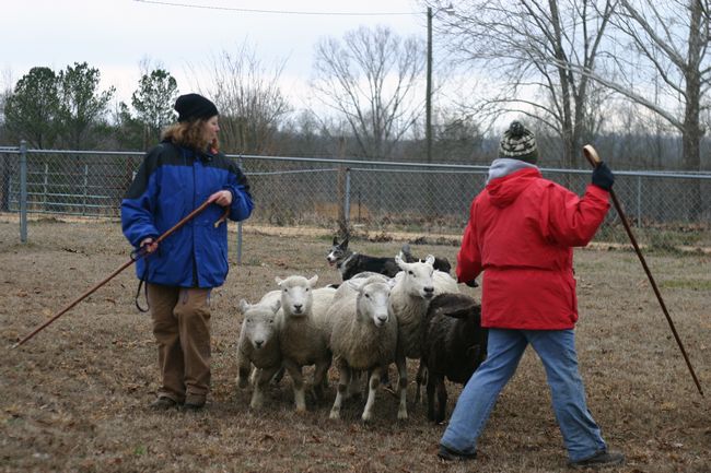 Click to see next picture