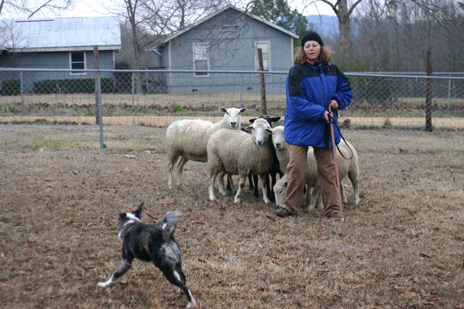 Click to see next picture