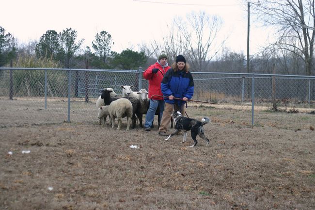 Click to see thumbs page