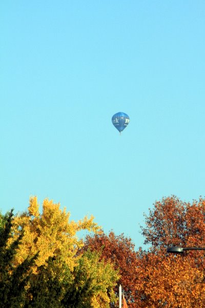 IMG_2896.JPG